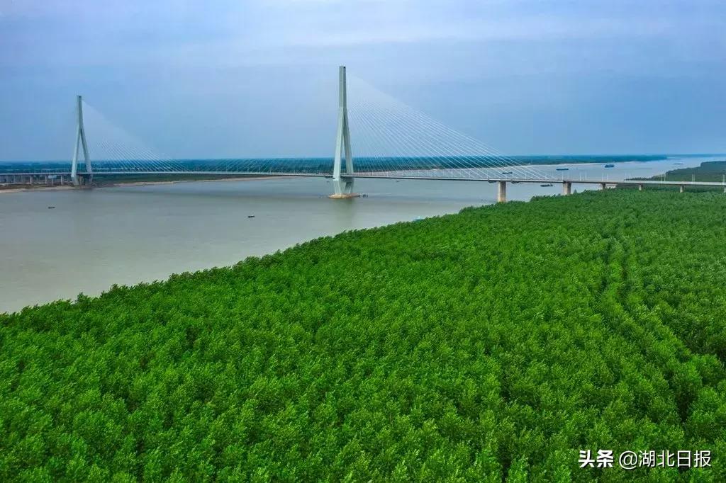 湖北的38座长江大桥,湖北38座长江大桥名单