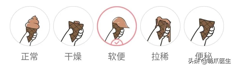 猫咪软便和拉稀的区分是什么,猫咪软便拉稀是如何处理
