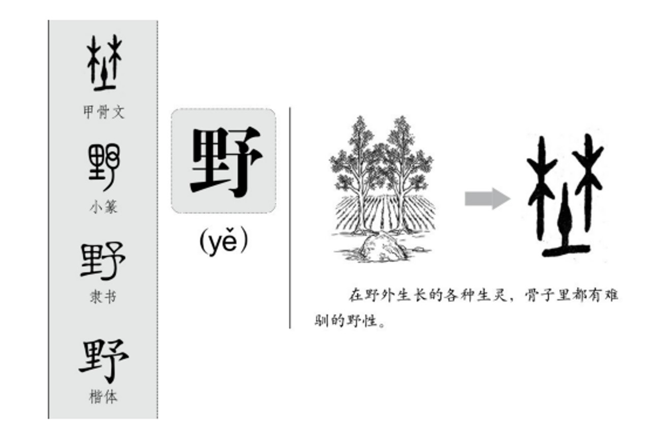 从张钧甯名字被认错，去简单了解汉字的繁体、异体的区分