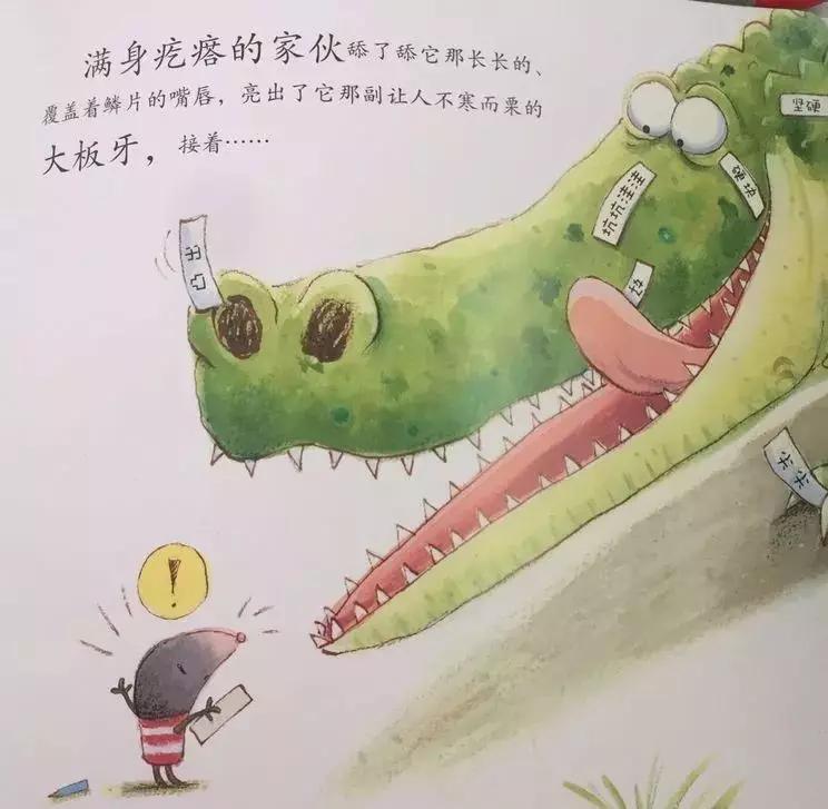悦宝园主题课程推荐：鳄鱼｜AlligatorsandCrocs