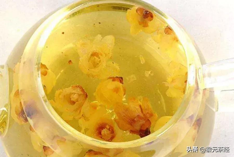 腊梅冬梅红梅三种有何区分,红梅和腊梅的区分详解