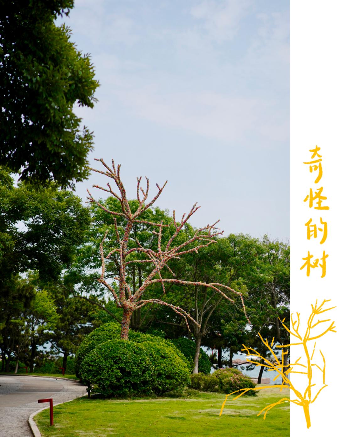 青岛的海给人很惬意,夏天青岛的海边热吗