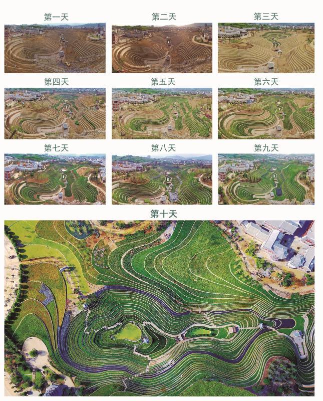 狂奔的许家印音乐,狂奔中的许家印