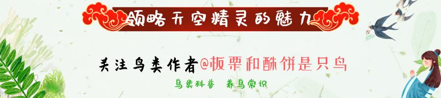 “上了台儿的才叫角儿”，笼鸟之王百灵，请看完这些讲究再考虑养