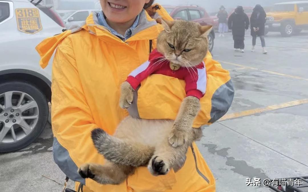 网红绑猫*藏西**骑行求关注，遭网友质疑回怼：比在家里刺激多了