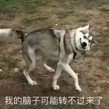 大厂程序员没活整天划水，困局如何破？