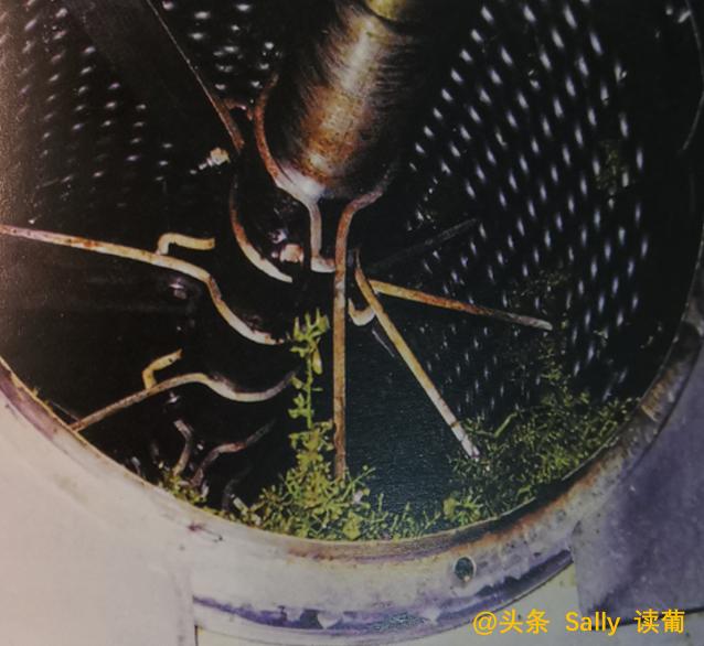 红酒在酒庄经历了什么？争议如此大？朱广权式幽默告知你