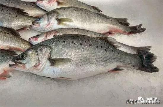 十种最美味海鲜,100种常见海鲜大全图