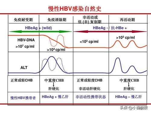 乙肝小二阳不戒酒会病变成什么,乙肝小二阳患者需求注意什么