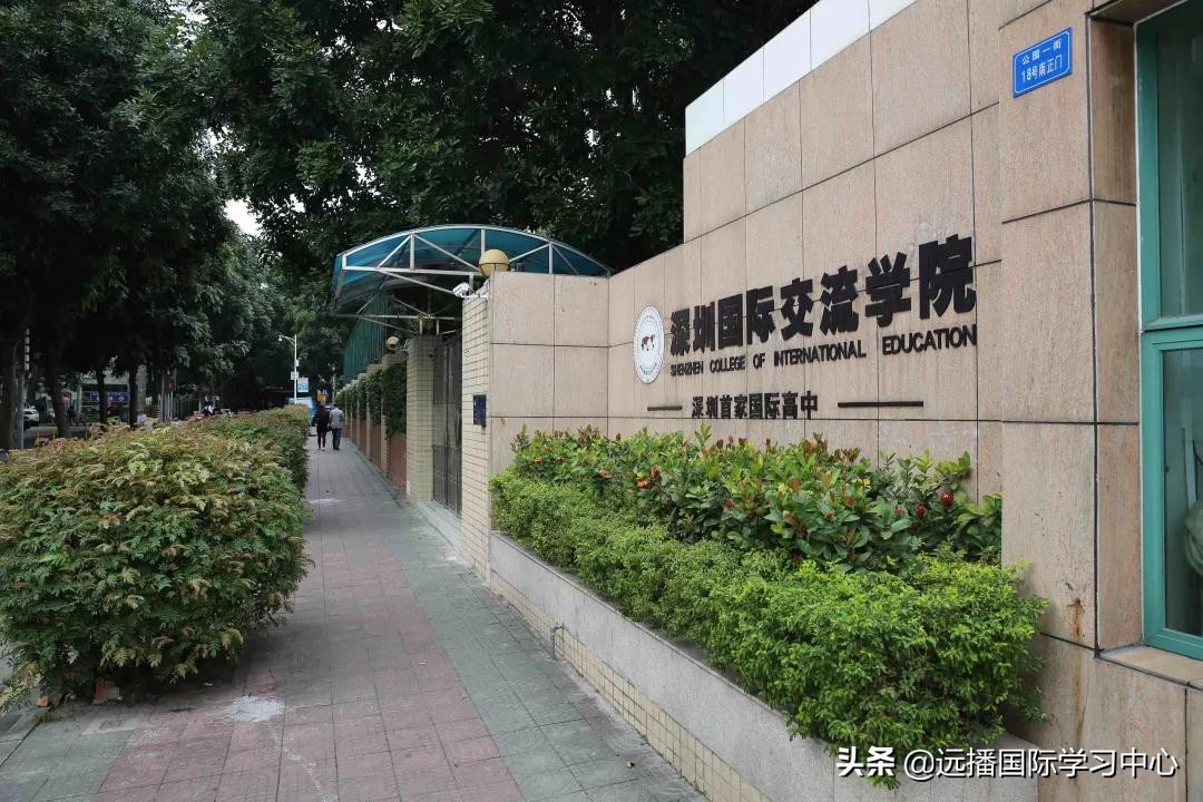 北上深这几所国际学校的课外活动堪比十几万的兴趣班