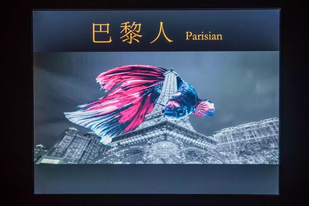 斥资1500万！人广惊现①家*场赌**火锅，明星、赌王千金都来打call