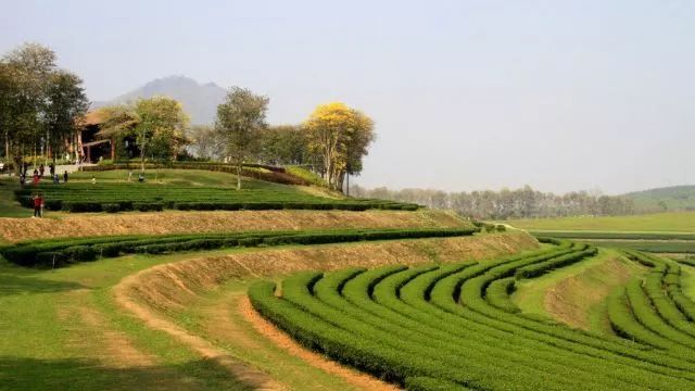 泰国特价签证,申请泰国旅行签证90天需求多少钱