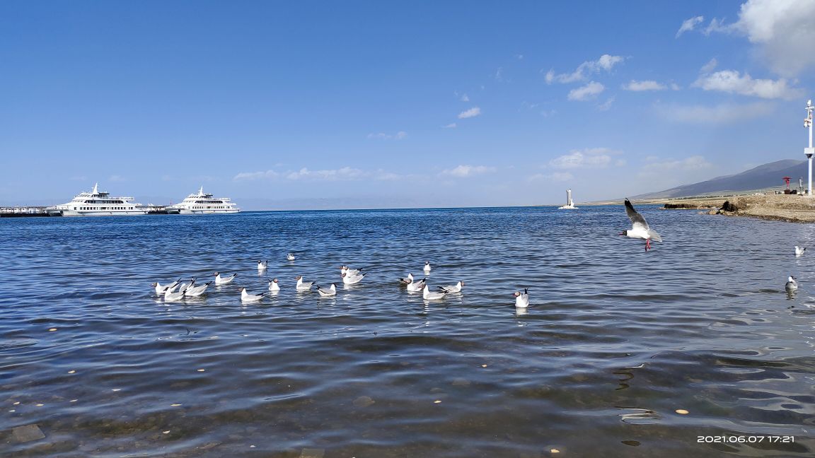 大西北札记,大西北之旅青海湖8月