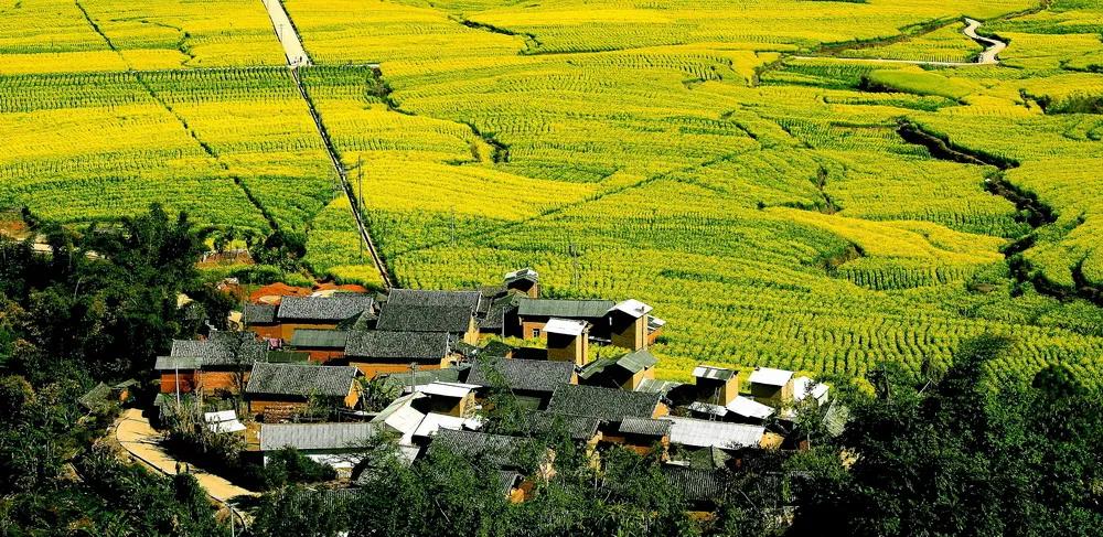 新阶段新格局新理念,云南构建新发展格局