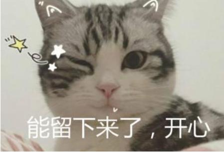 猫咪不出门需求驱虫吗,不出门的猫咪还用驱虫吗
