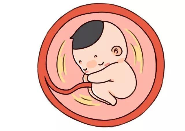一个煎熬而漫长的孕期,孕期一路艰辛只有自己最清楚