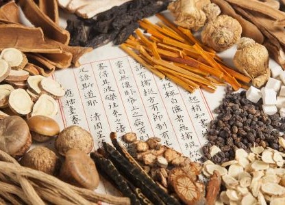 湖州晚报丨老梅虬影亦芳华