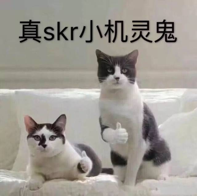 2018流行的腕表,2018最流行什么机芯的手表