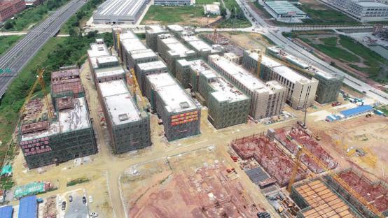 党建引领园区建设,党建引领高速先行
