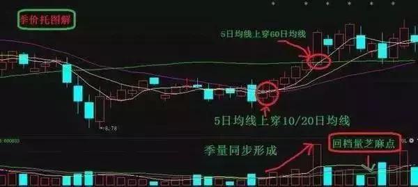 北京大学美女教师的演讲：黑马股启动前的征兆，堪称一绝