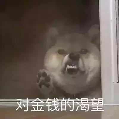 贫穷的时候该怎么度过,暑假的生活就是这样过的