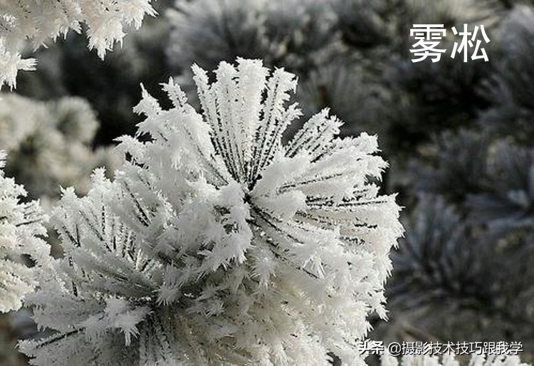 如何用雪景拍出炫酷视频,怎样拍好雾凇