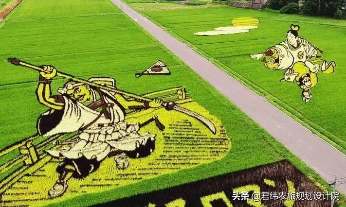 中国和日本农业到底有什么样的差距，不得不承认！