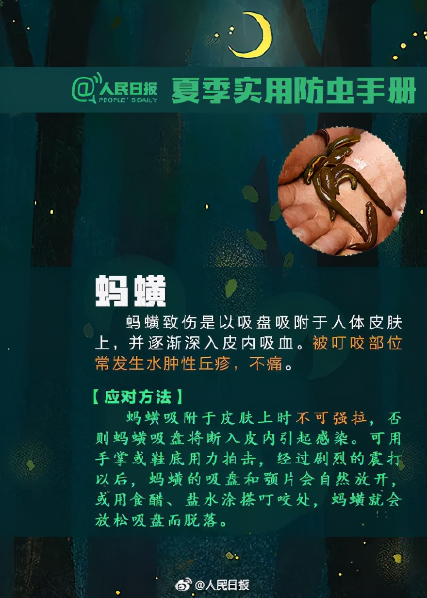 3岁女儿被毒虫“咬一口”差点毁容：这套实用防虫手册，记得收藏