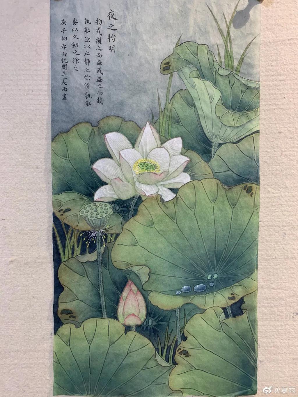 影帝夏雨书法真迹,演员夏雨晒书法作品