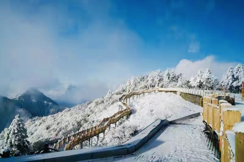 西岭雪山游玩攻略一日游有雪没有,西岭雪山赏雪一日游攻略