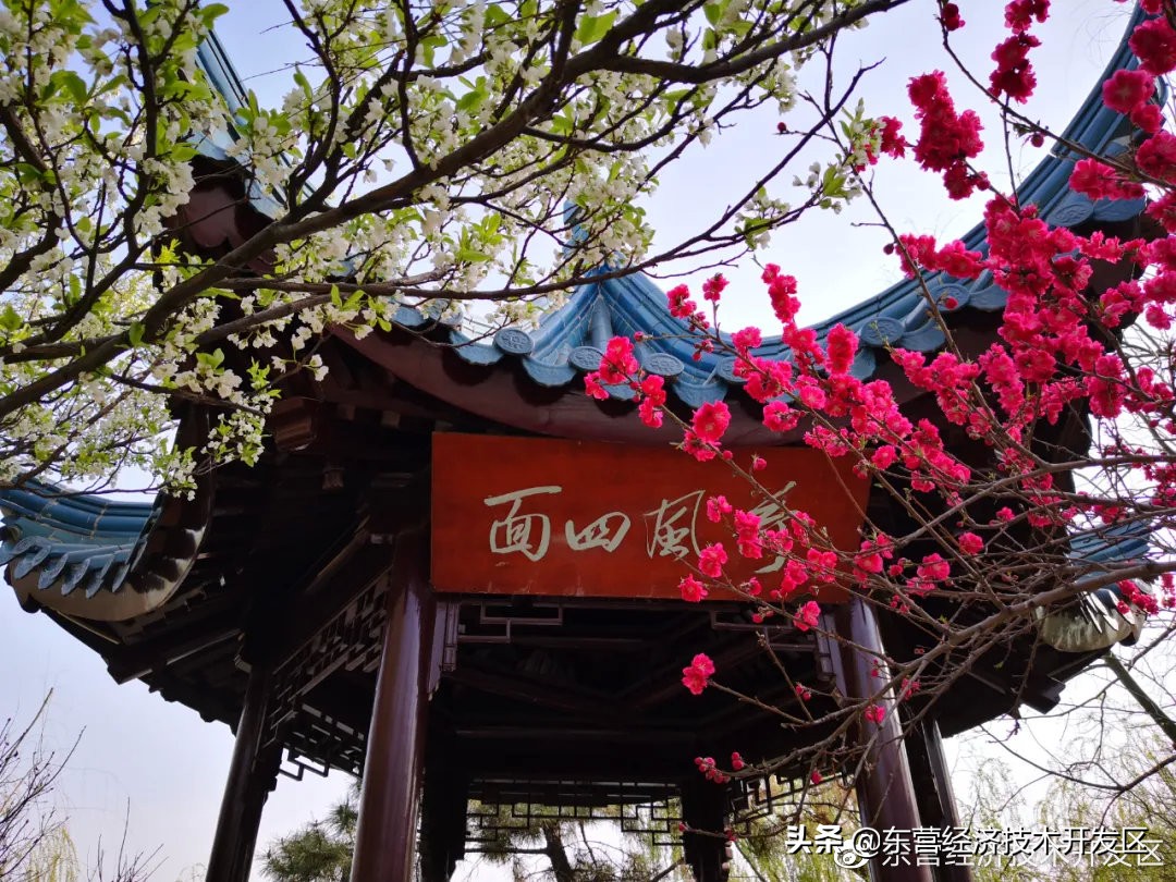 来开发区必去的地方,开发区秋季美好的风景