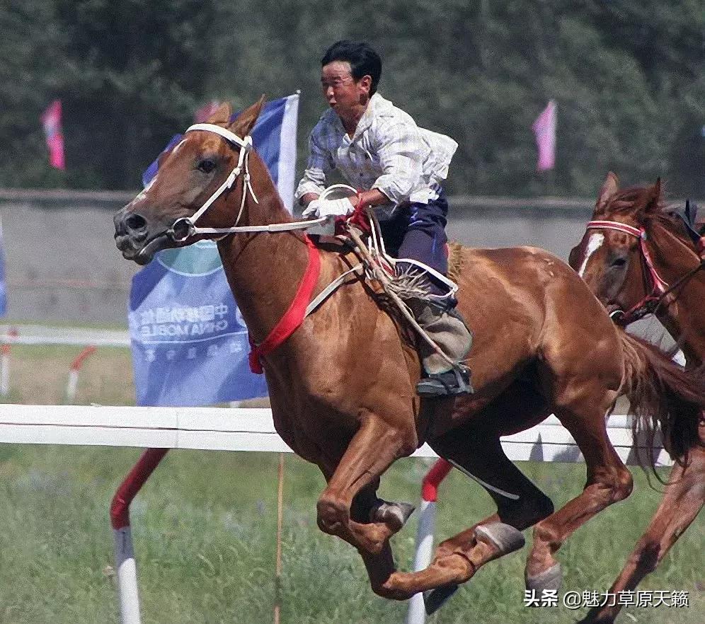 蒙古族运动员,蒙古运动员参加中国的比赛