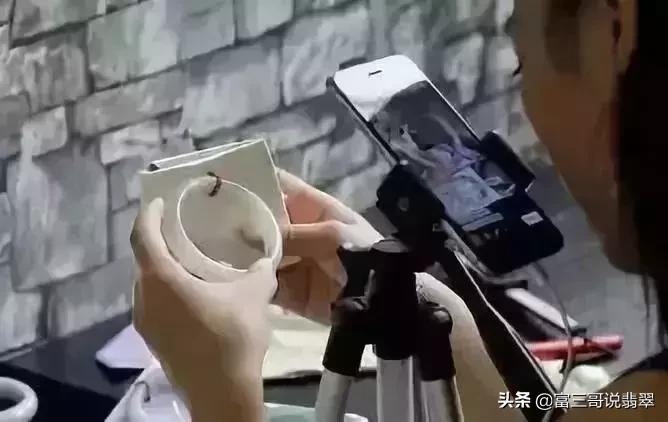 瑞丽直播卖翡翠违法吗,德宏瑞丽翡翠严打
