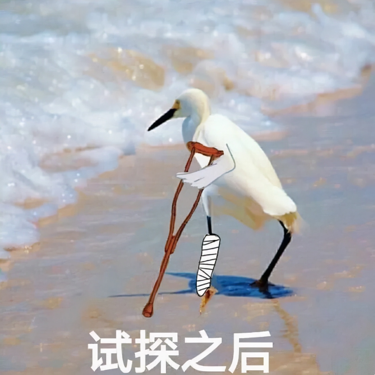 9月1日起，成都全城推行！