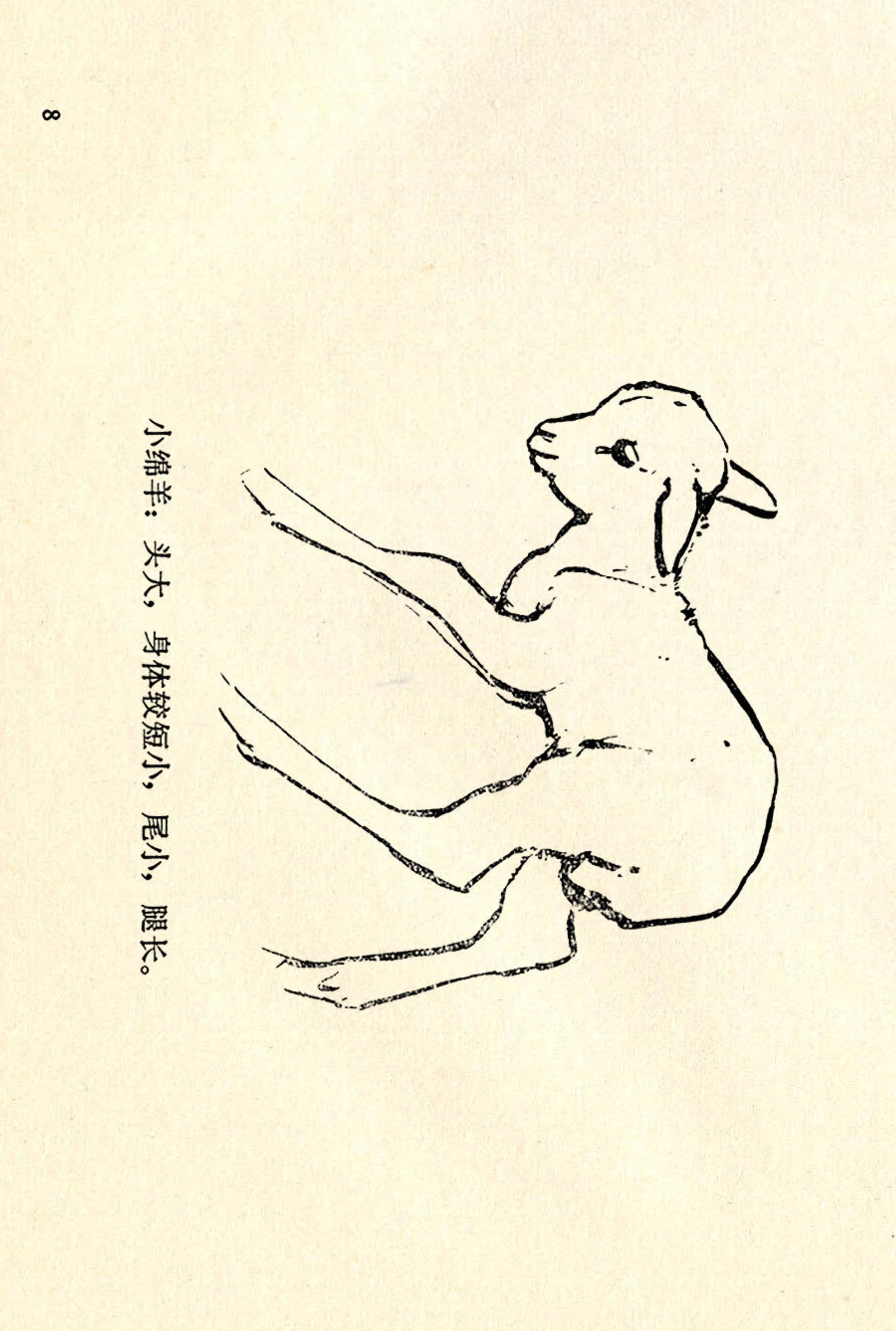 刘继卣画的学习方法,刘继卣动物插画