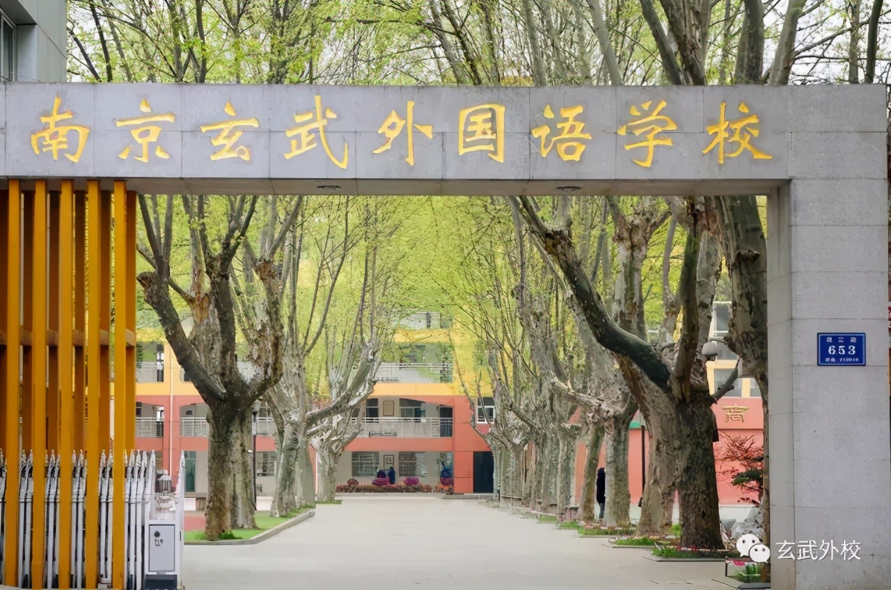 南京最牛教育资源！家长最向往的小学、初中、高中、大学