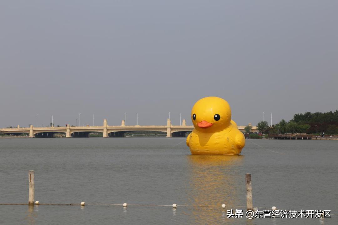 来开发区必去的地方,开发区秋季美好的风景