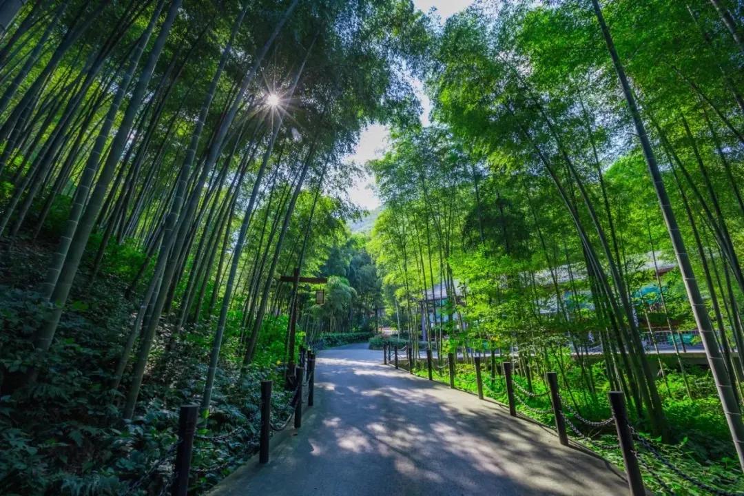 江浙沪天然温泉度假村排名榜,江浙沪温泉最好的地方排名