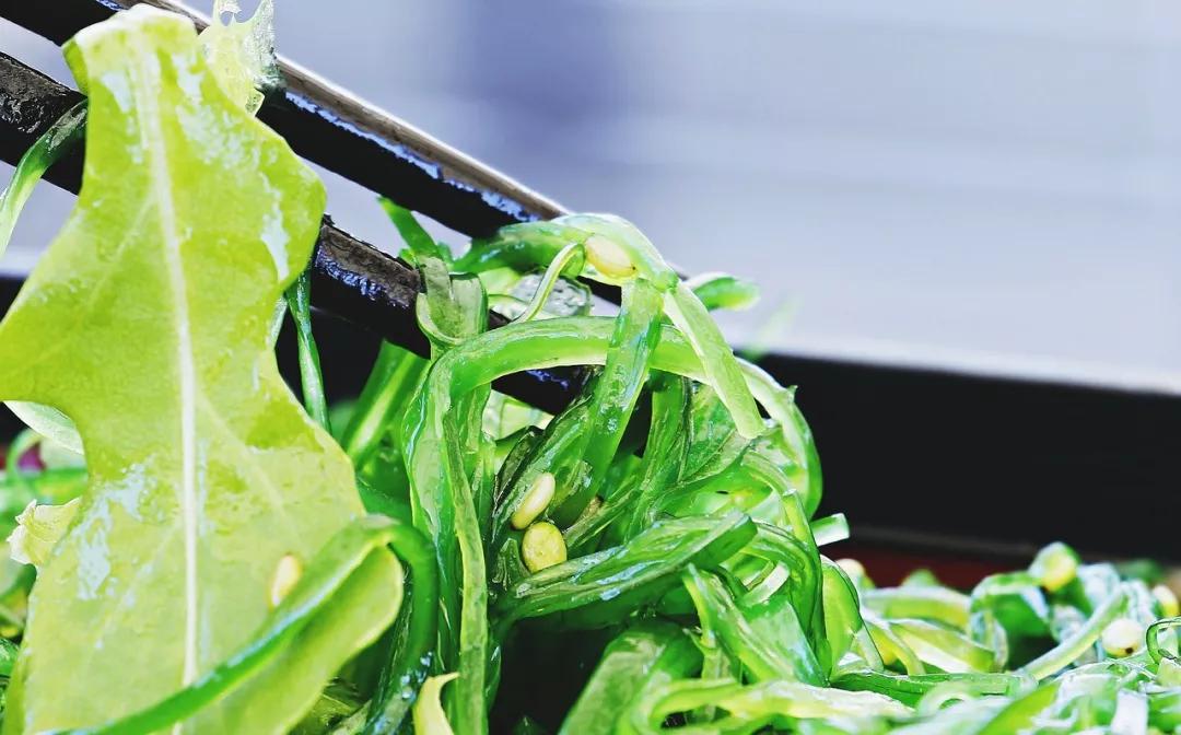 海苔、紫菜、裙带菜，是同一种东西吗？中国哪里的海菜最好吃？