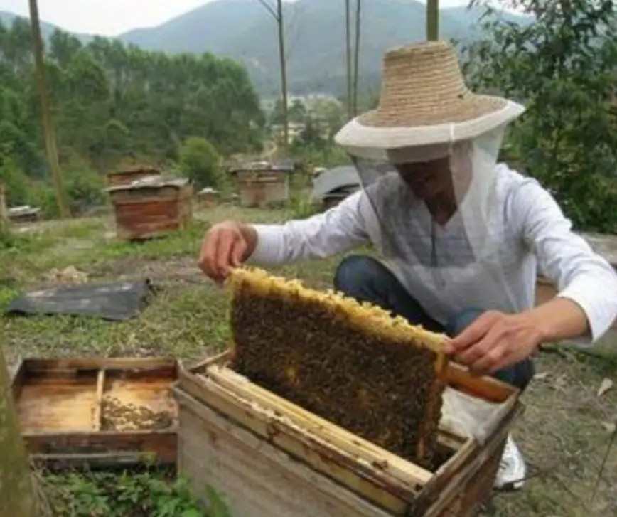 这三个养殖行业，目前在农村养殖是比较赚钱的