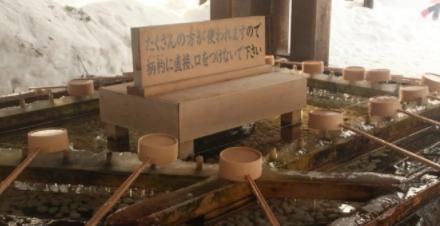 日本七天旅游攻略自由行,日本北海道六天五晚游玩攻略