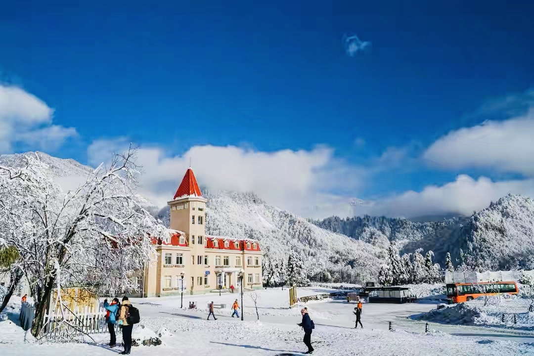 西岭雪山游玩攻略一日游有雪没有,西岭雪山赏雪一日游攻略