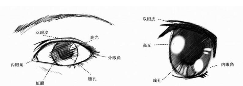 怎么画眼睛最简单又好看二次元,怎么画动漫眼睛二次元教程