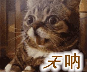 37岁男子一年中风2次！李惠利医院平均一个月收治133例！最年轻只有15岁