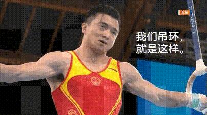 吊环冠军刘洋文森特双排,世界冠军刘洋文森特双排