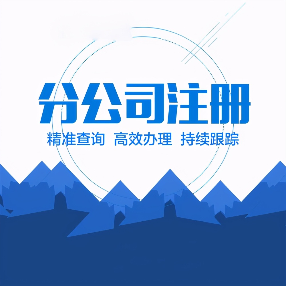 登录分公司的详细流程是怎样的,厦门登录分公司流程及所需材料