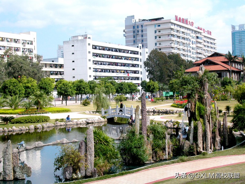 福建医学类专业排名,福建的医学类大学有哪些