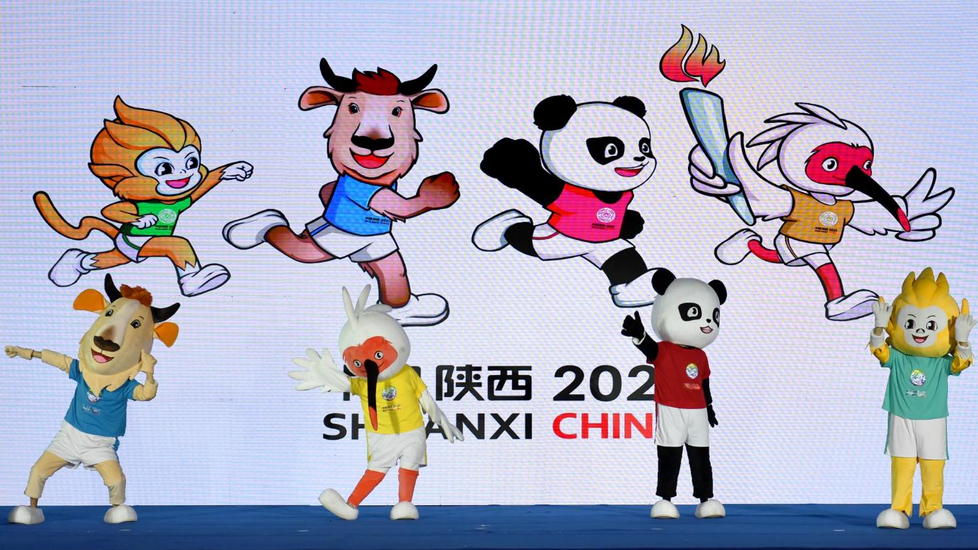 龙虎狮豹熊牛狼猫，国内俱乐部改名脑洞大开，足协还一本正经回复