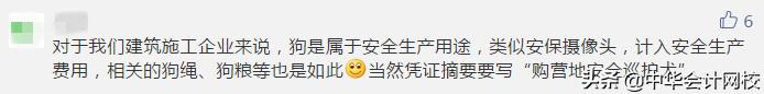 公司买了一只狗如何入账,公司买了两只狗如何入账
