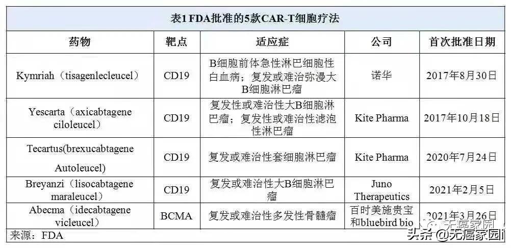 四川华西car-t疗法肝癌成功案例,全球首个car-t治疗晚期肝癌成果